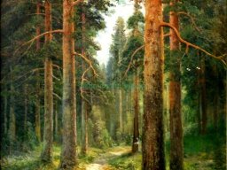 Семен Федоров (1867–1910) «Сосновий ліс» -artmuseum.org.ua